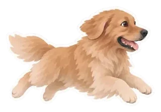 Example: Maple the golden retriever as a zoomies sticker