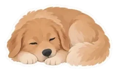 Example sticker: Maple, sleepy