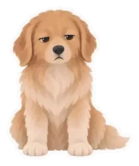 Example sticker: Maple, unimpressed