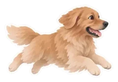 Example sticker: Maple, zoomies